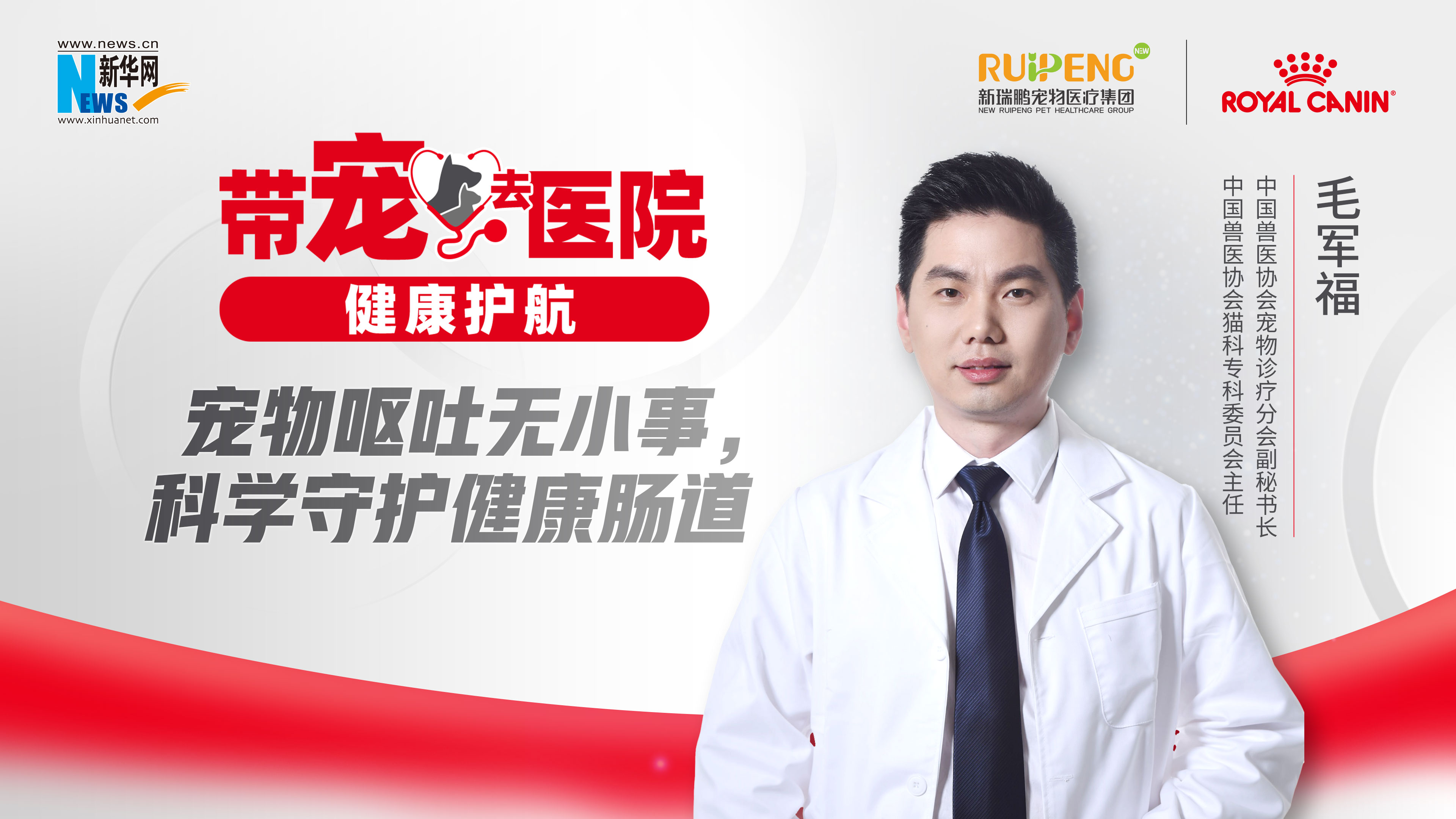 帶寵去醫(yī)院 健康護(hù)航｜寵物嘔吐無小事，科學(xué)守護(hù)健康腸道！