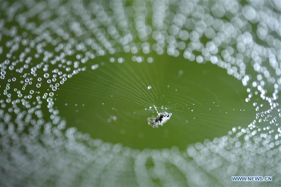 #CHINA-HUBEI-XUANEN-NATURE (CN)