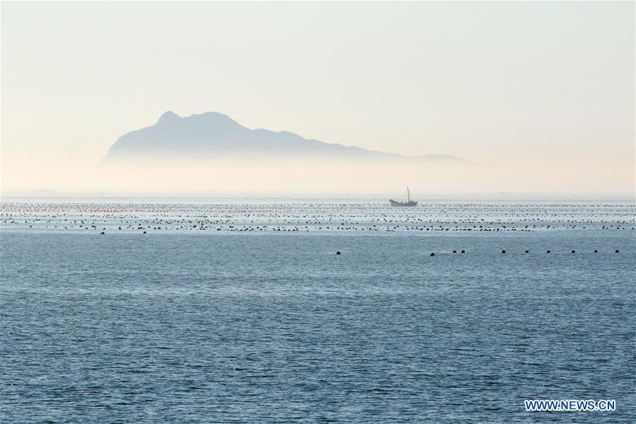 #CHINA-SHANDONG-YANTAI-ADVECTION FOG (CN)