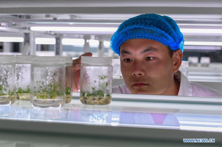 CHINA-INNER MONGOLIA-KUBUQI-DESERT CONTROL-TECHNOLOGY INNOVATION (CN)