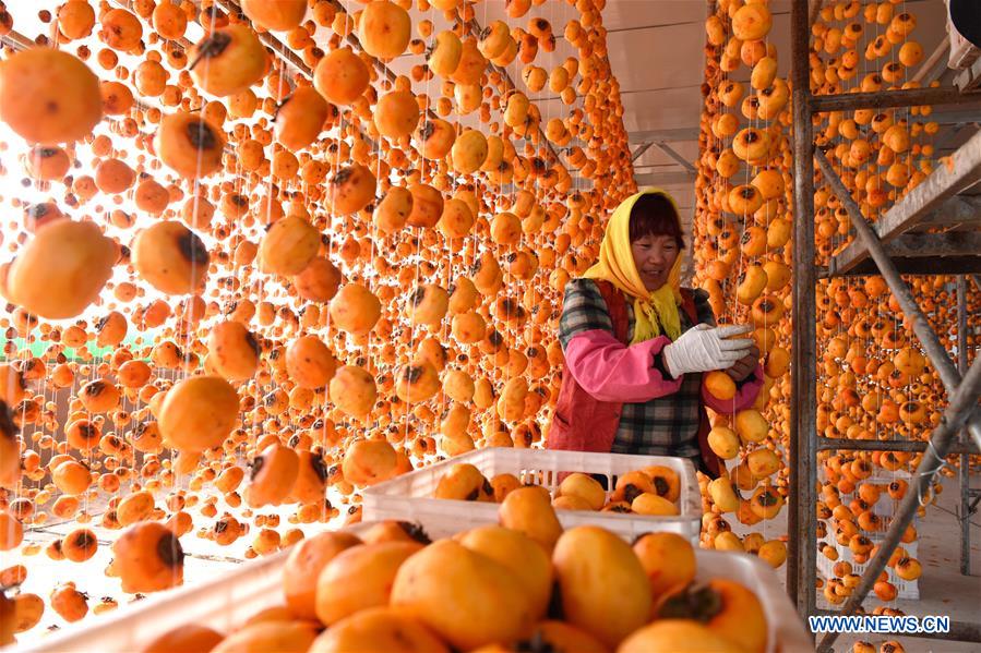 #CHINA-SHANDONG-LINYI-PERSIMMON (CN)