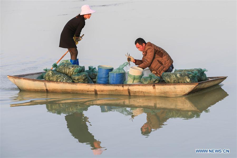 #CHINA-JIANGSU-HONGZE LAKE-CRAB-HARVEST (CN)