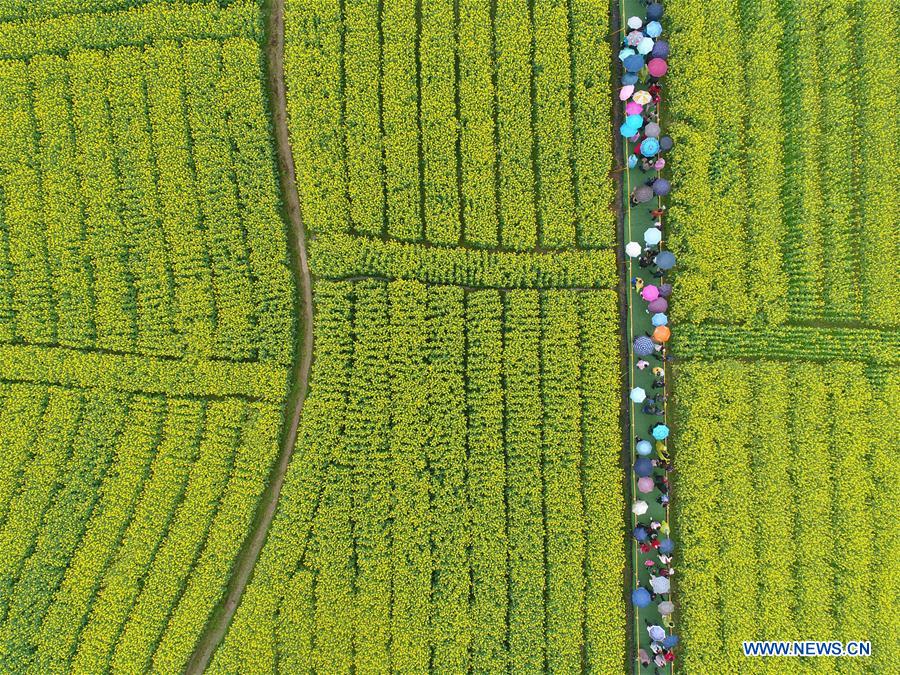 (年終報道)(19)2018年看大美中國