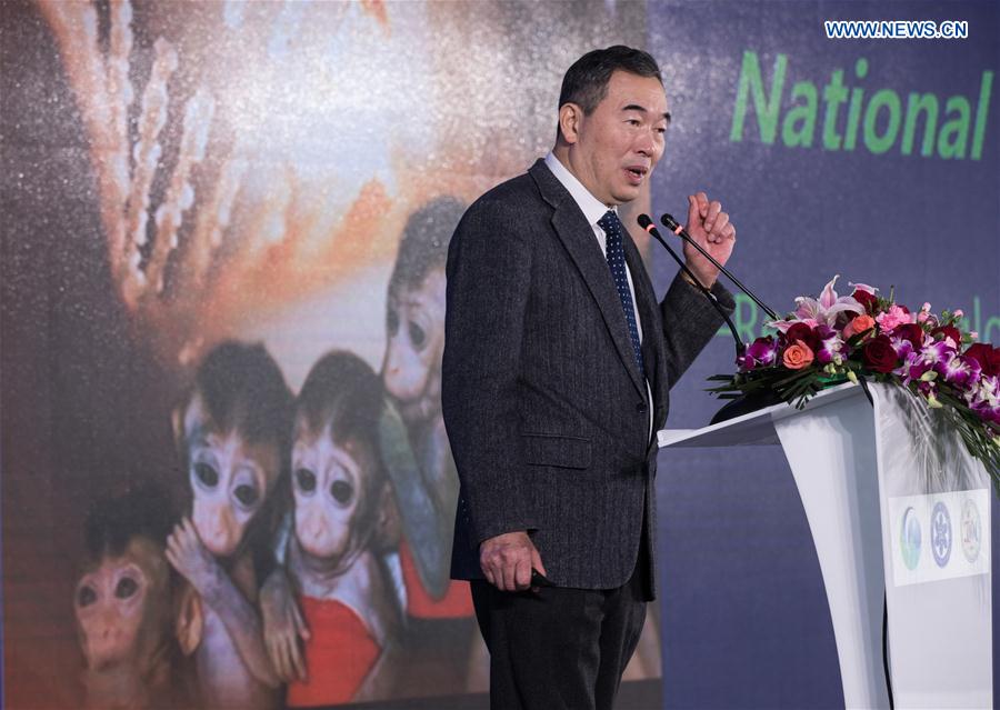 CHINA-SHANGHAI-GENE-EDITED MONKEYS (CN)