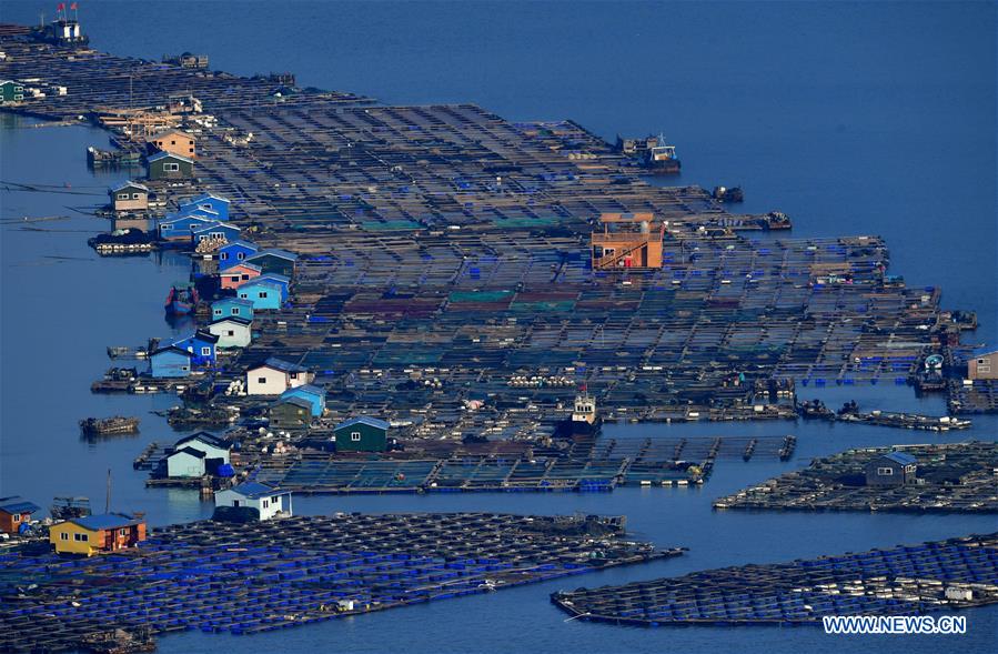 CHINA-XIAPU-SCENERY (CN)