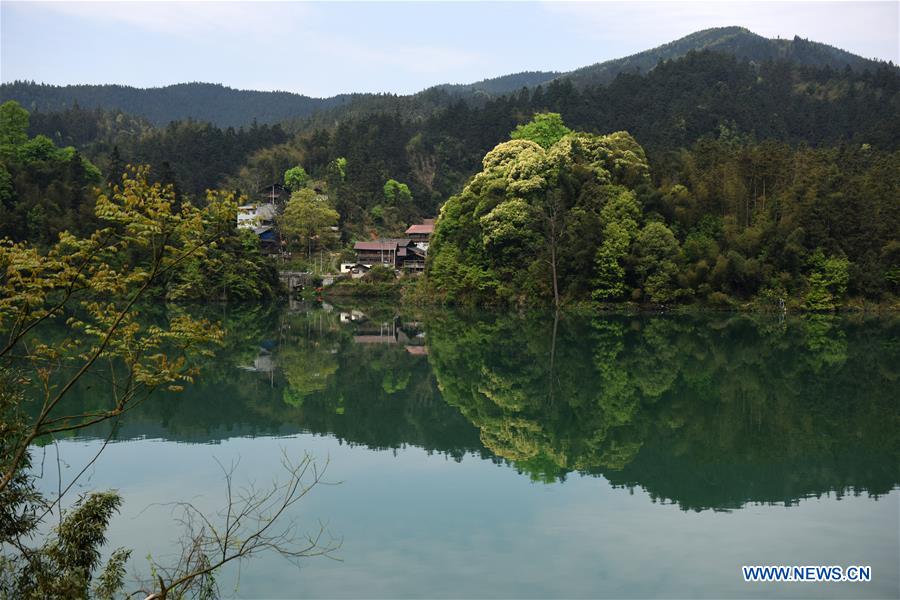 CHINA-GUIZHOU-JINPING-SPRING (CN)