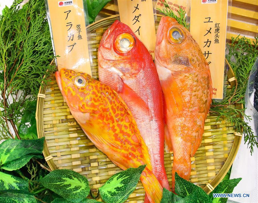 BELT AND ROAD-FOOD-CONNECTION