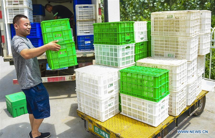 CHINA-HEBEI-RURAL E-COMMERCE-POVERTY RELIEF (CN)