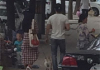 組圖：天天秀恩愛(ài)！范冰冰李晨甜蜜遛狗引圍觀