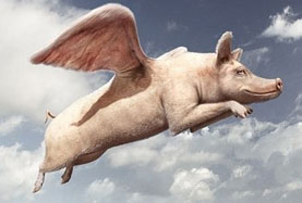 風(fēng)口上A股的十大“飛豬” 你抓住了幾頭