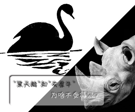 "黑天鵝"和"灰犀牛"為啥不受待見？