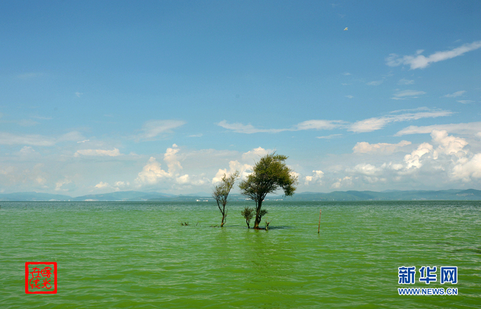 陽(yáng)光昆明，爽爽的春城