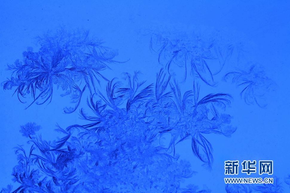 忽如一夜寒冬來，千家萬戶窗花開