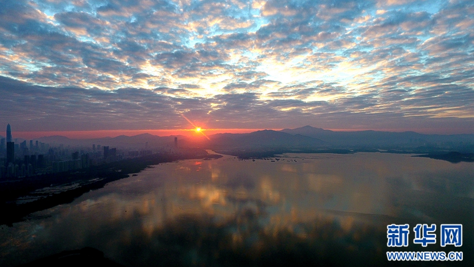 深圳灣的早晨和黃昏