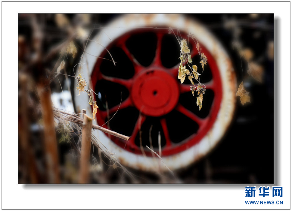 《遺世流年抹滄?！?>	</a></div>
</div>
<div   id=