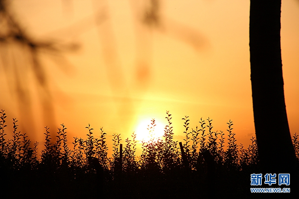 日落西山頭，人約黃昏后