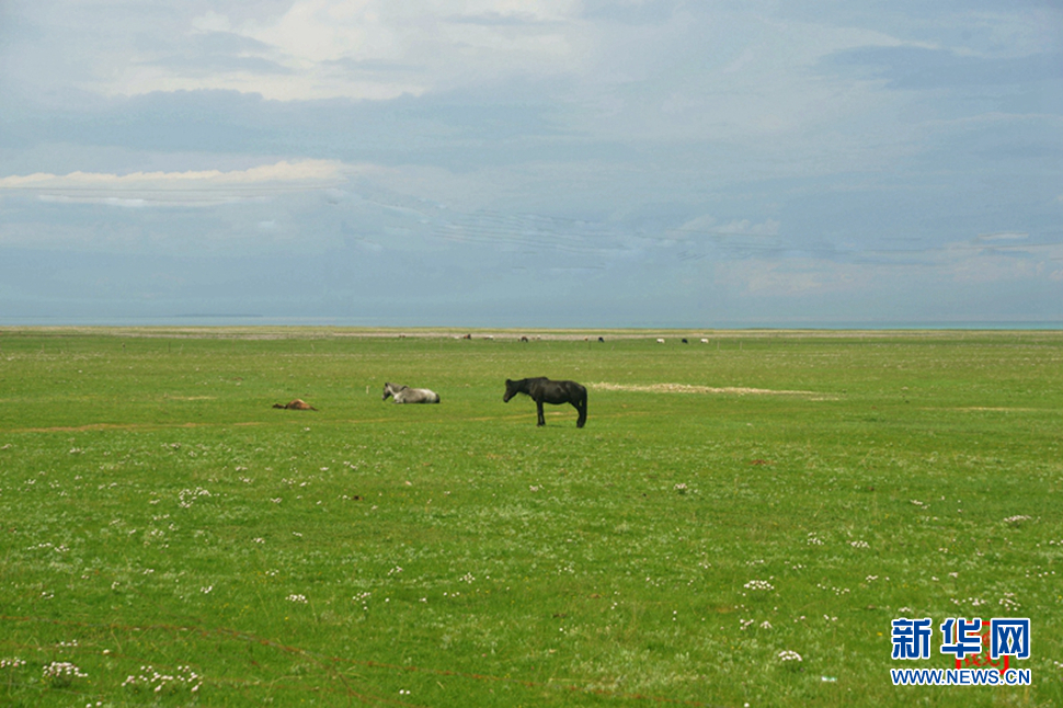 高原放歌之那山、那寺、那朵云