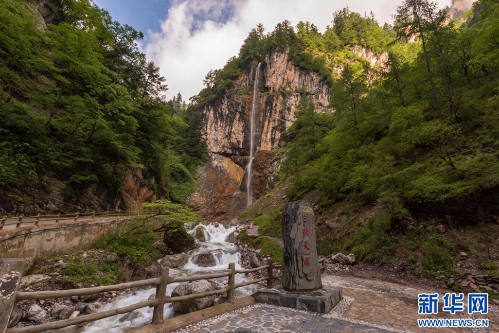 重崖森迥瀑飛先，鵝溝炎夏水風涼