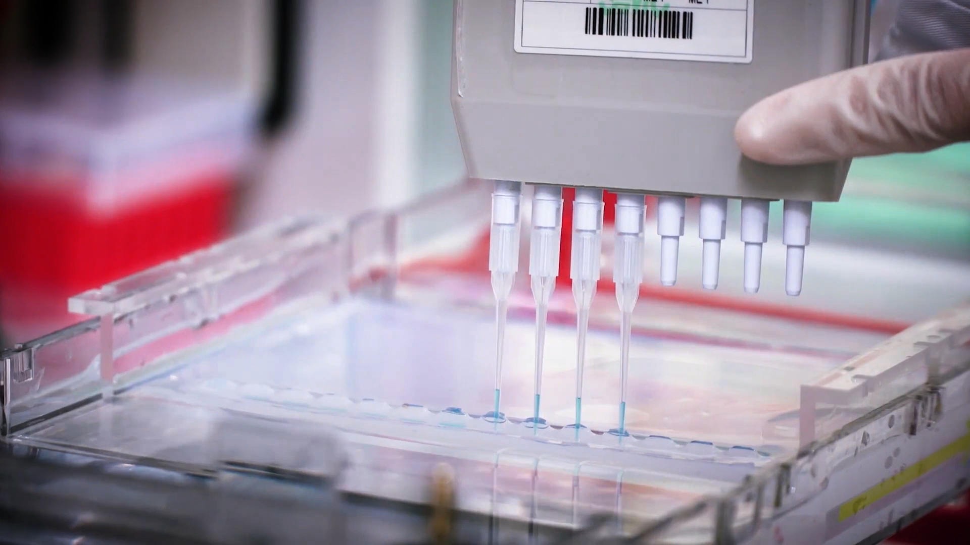 致敬偉大改革｜對(duì)話40年，講述身邊的健康故事32—打破醫(yī)學(xué)禁區(qū)，探尋生命奇跡