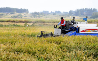 40年，小崗人的18個“第一次”