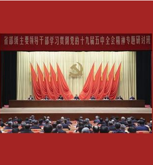 新華社評論員：心懷“國之大者”，主動擔(dān)當(dāng)作為