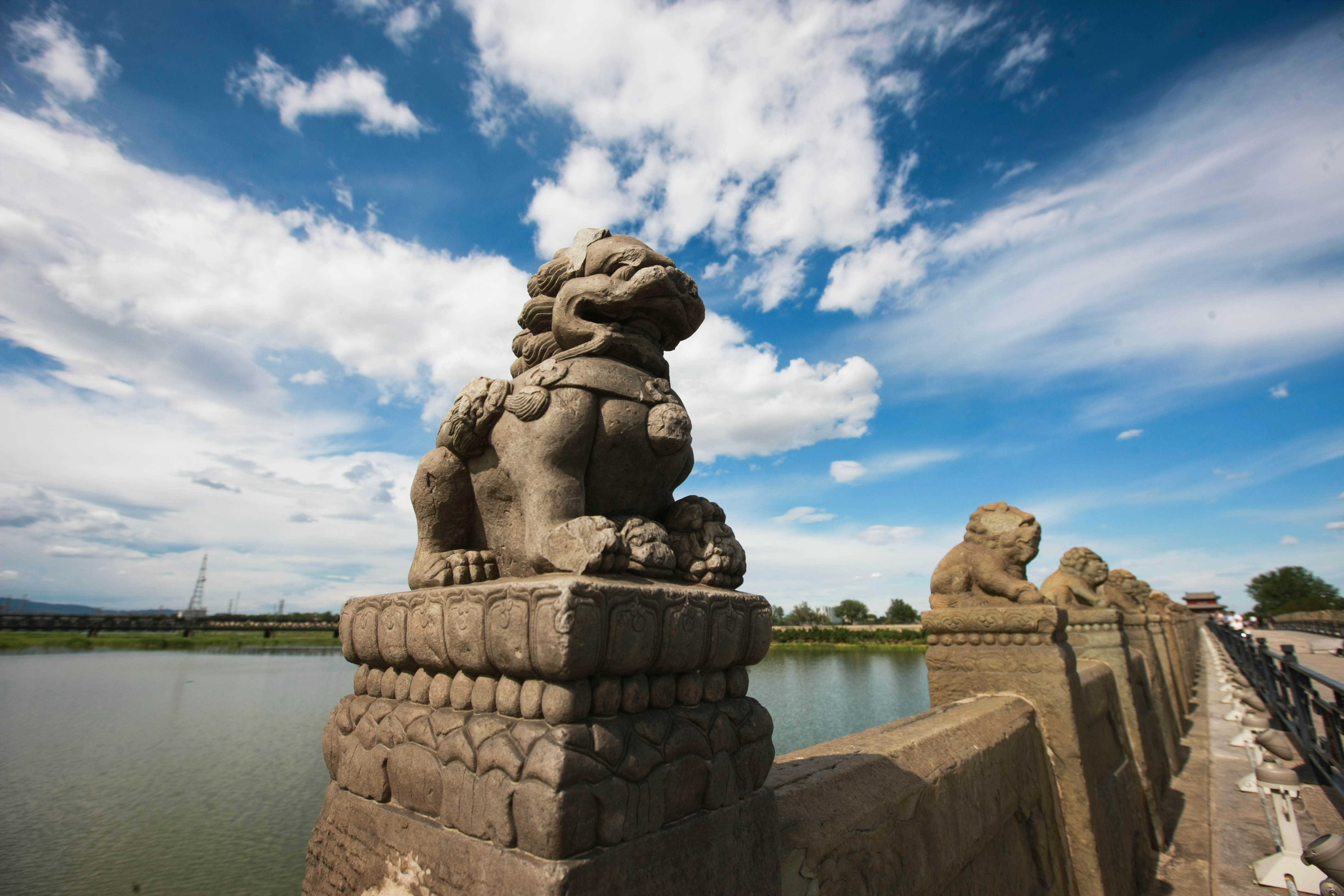 這些照片，來之不易