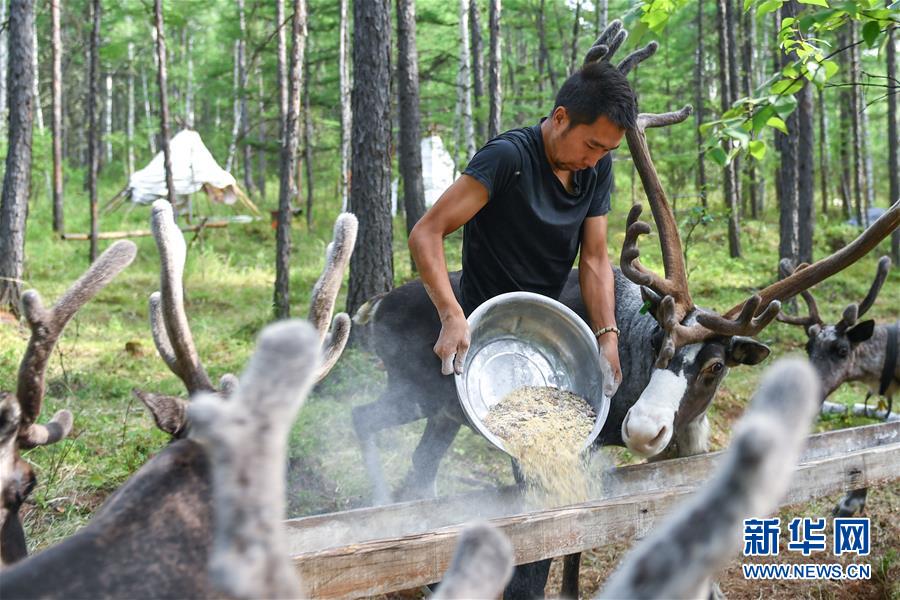 【聚焦脫貧攻堅】這組數(shù)字，來之不易