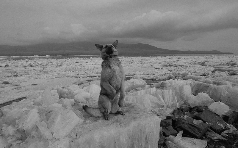 線云強(qiáng)作品:東方第一哨，最早迎接太陽的士兵