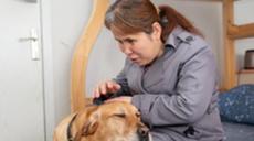 “有你在身旁，真好”