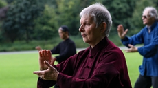 比利時(shí):公園舞太極