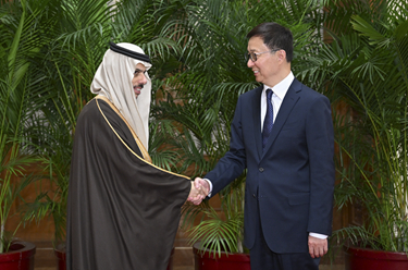 韓正集體會見阿拉伯、伊斯蘭國家外長聯合代表團