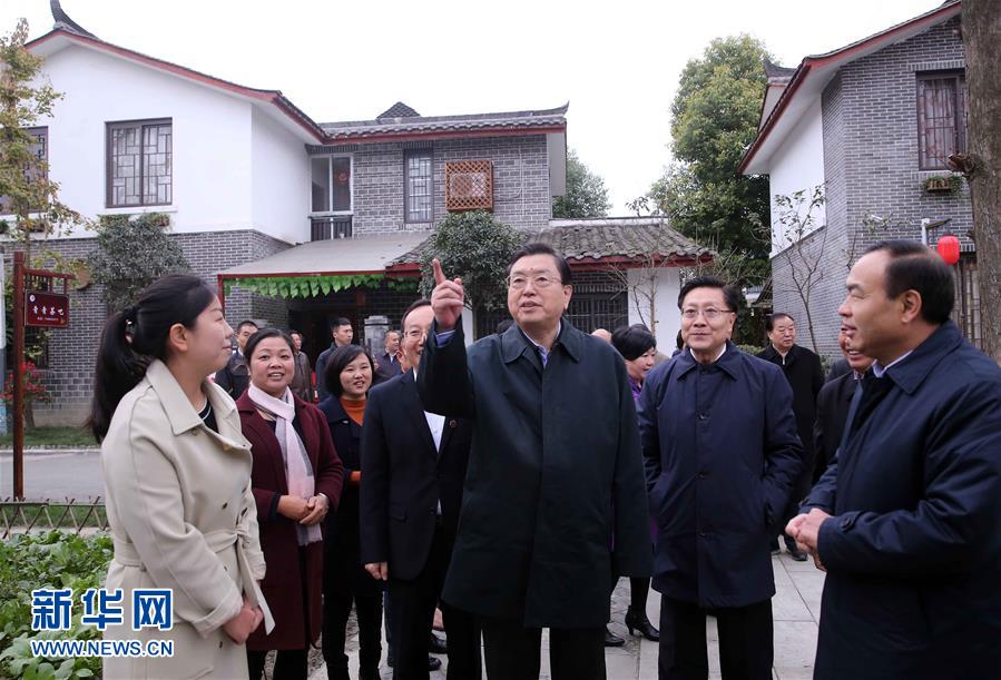 這是11月22日，張德江來(lái)到成都郫縣青杠樹(shù)村，了解村民委員會(huì)工作情況。 新華社記者 劉衛(wèi)兵 攝 