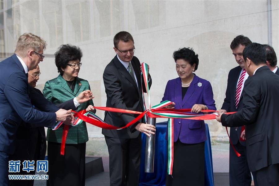 (XHDW)(1)劉延?xùn)|:推動(dòng)中醫(yī)藥合作成為促進(jìn)中匈衛(wèi)生合作和人文交流的亮麗“名片”