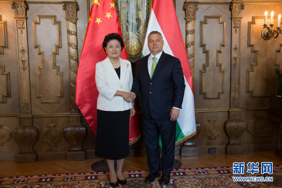  6月21日，國(guó)務(wù)院副總理劉延?xùn)|（左）在匈牙利布達(dá)佩斯國(guó)會(huì)大廈會(huì)見(jiàn)匈牙利總理歐爾班。 新華社發(fā)（弗爾季·奧蒂洛攝）