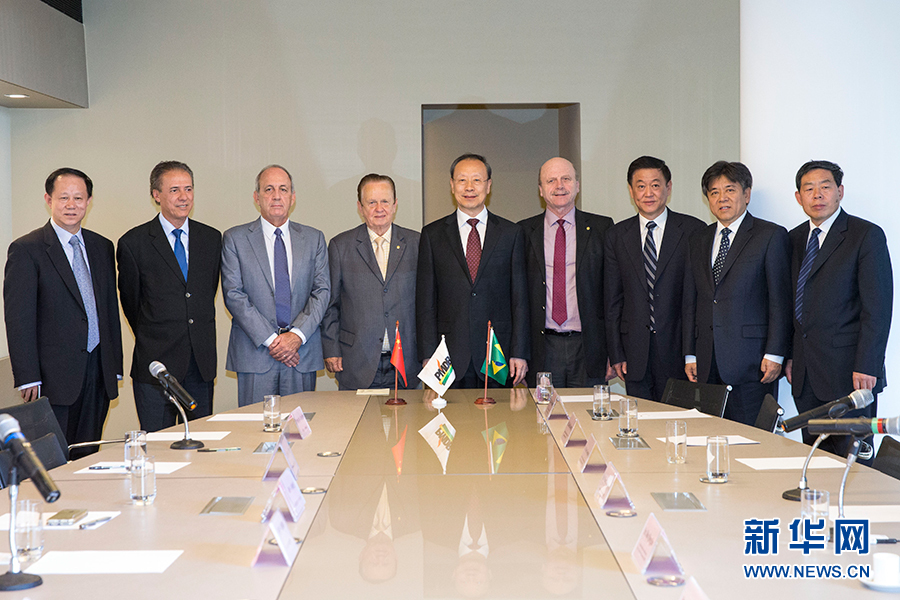 7月11日，在巴西首都巴西利亞，中共中央書記處書記、全國政協(xié)副主席杜青林（中）會見巴西民主運動黨總書記毛羅·洛佩斯（左四）。新華社記者李明攝