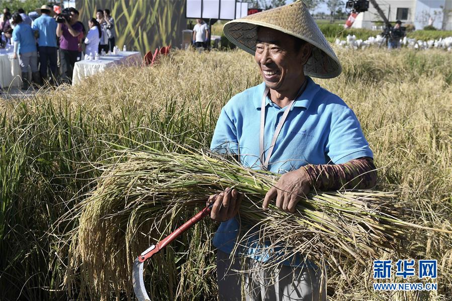 (新華全媒頭條·圖文互動(dòng))(2)歷史性飛躍的偉大實(shí)踐——中國(guó)共產(chǎn)黨引領(lǐng)中國(guó)特色社會(huì)主義開辟發(fā)展新境界述評(píng)