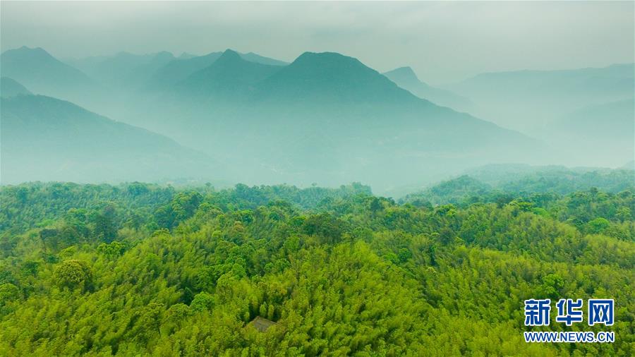 （新華全媒頭條·圖文互動）（9）赤水：別了，貧困！