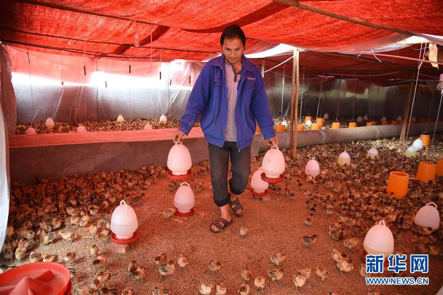 （新華全媒頭條·圖文互動）（8）赤水：別了，貧困！