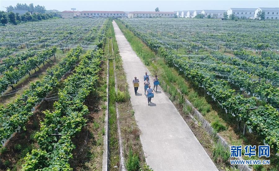 （新華全媒頭條·紀(jì)念改革開放40年特稿·圖文互動）（5）向著新航程揚帆奮進(jìn)！——從小崗精神看中國改革開放40年