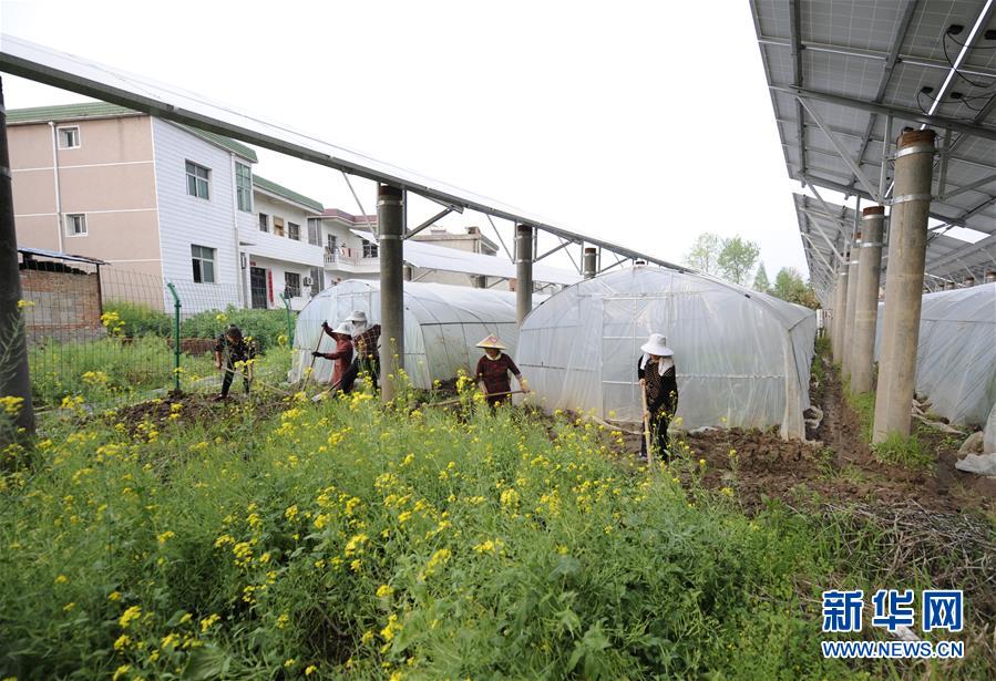 (圖文互動(dòng))(2)第一書記李傳璽的駐村生活