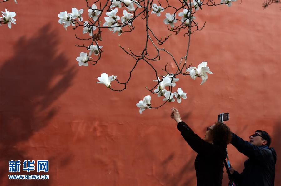 (在習(xí)近平新時(shí)代中國特色社會(huì)主義思想指引下——新時(shí)代新氣象新作為·新華全媒頭條·圖文互動(dòng))(1)最濃是這中國紅——北京市西城區(qū)弘揚(yáng)紅墻意識(shí)深化改革發(fā)展紀(jì)實(shí)
