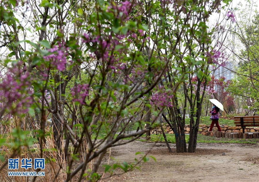 (在習(xí)近平新時(shí)代中國特色社會(huì)主義思想指引下——新時(shí)代新氣象新作為·新華全媒頭條·圖文互動(dòng))(4)最濃是這中國紅——北京市西城區(qū)弘揚(yáng)紅墻意識(shí)深化改革發(fā)展紀(jì)實(shí)