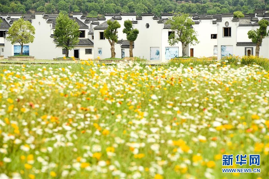 （新華全媒頭條·搶救古民居·圖文互動）（2）當古民居遇上城鎮(zhèn)化，如何留住鄉(xiāng)愁？