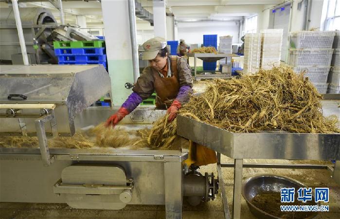 （百城百縣百企調(diào)研行&middot;圖文互動(dòng)）（5）吉林集安：邊陲&ldquo;綠色明珠&rdquo;為何如此閃亮？