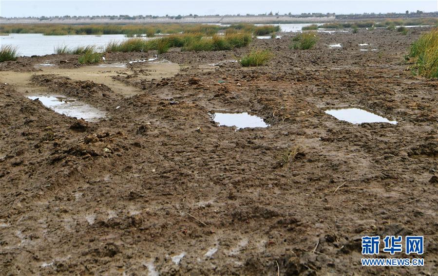 (新華視點·圖文互動)(2)福建10名黨員干部被問責的背后:7部門十余次執(zhí)法未能有效制止泉州灣濕地圍墾行為