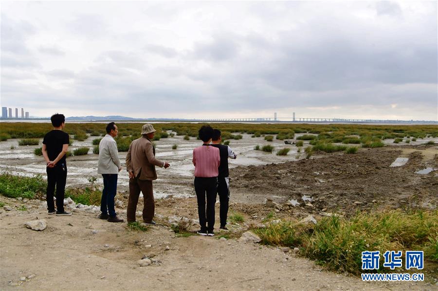 (新華視點·圖文互動)(5)福建10名黨員干部被問責的背后:7部門十余次執(zhí)法未能有效制止泉州灣濕地圍墾行為