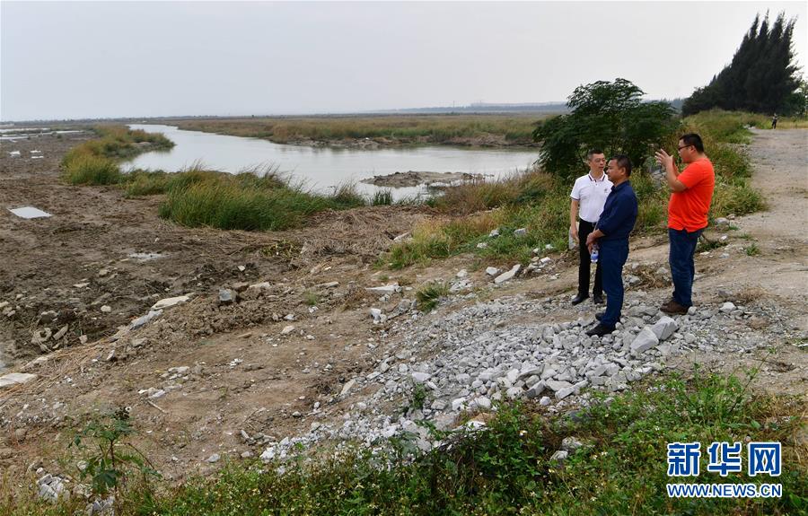 (新華視點·圖文互動)(6)福建10名黨員干部被問責的背后:7部門十余次執(zhí)法未能有效制止泉州灣濕地圍墾行為