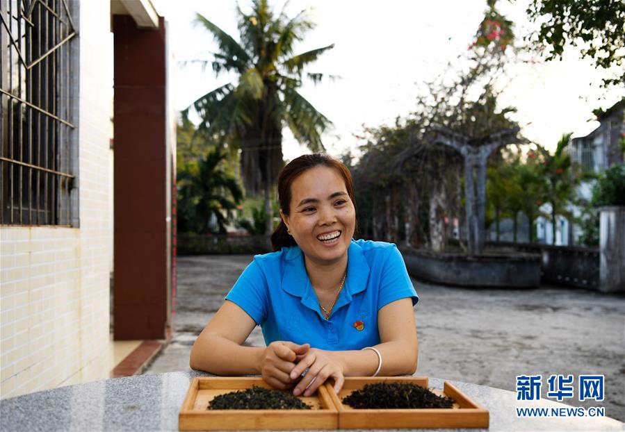 (奮進新時代·迎接兩會)(3)開放發(fā)展——推動形成全面開放新格局