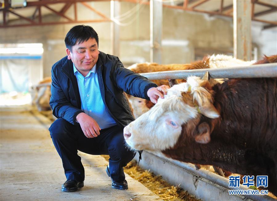 (兩會·基層代表履職故事)(4)全國人大代表吳云波:共享新時代發(fā)展成果