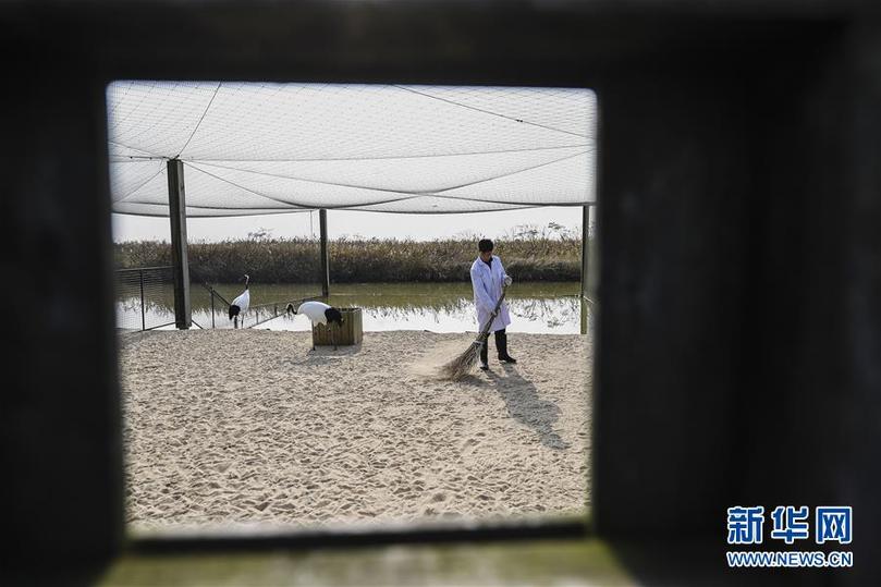 (兩會(huì)前夕看落實(shí)·圖文互動(dòng))(3)綠色發(fā)展引領(lǐng) 守護(hù)“魚(yú)米之鄉(xiāng)”——江蘇落實(shí)習(xí)近平總書(shū)記全國(guó)兩會(huì)重要講話(huà)精神紀(jì)實(shí)